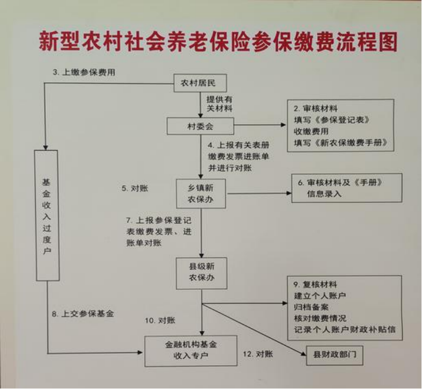 鸡西农村医保和社保有什么区别(农村医保跟社保的区别)